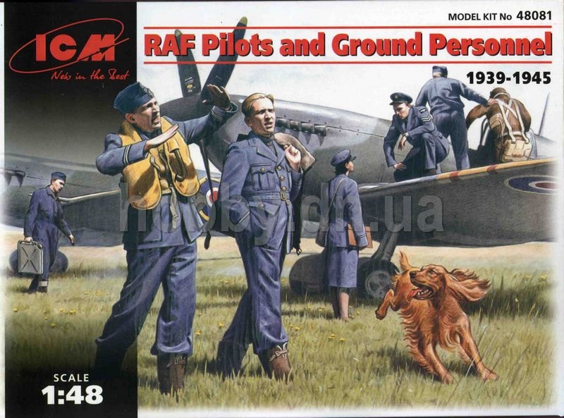 RAF Pilots and Ground Personnel