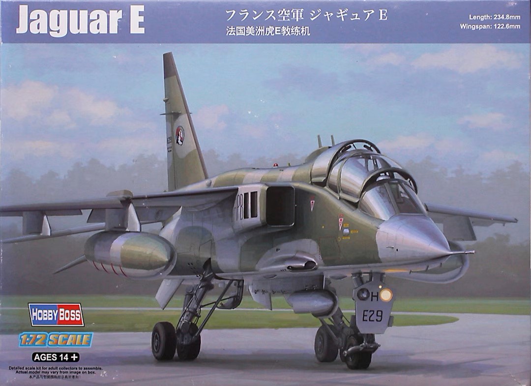 Sepecat Jaguar E